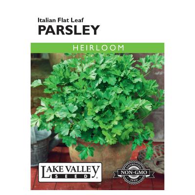 Lake Valley Seed Parsley Italian Flat Leaf