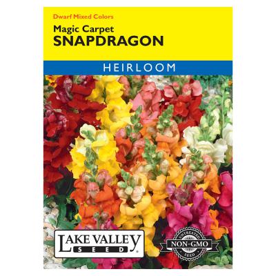 Lake Valley Seed Snapdragon Magic Carpet