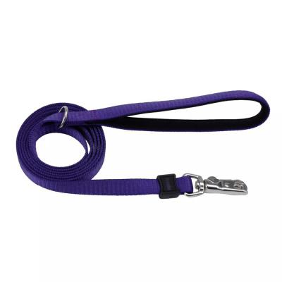 Coastal Inspire Dog Leash Coastal Inspire Purple Small/Medium 5/8 in. x 6 in.