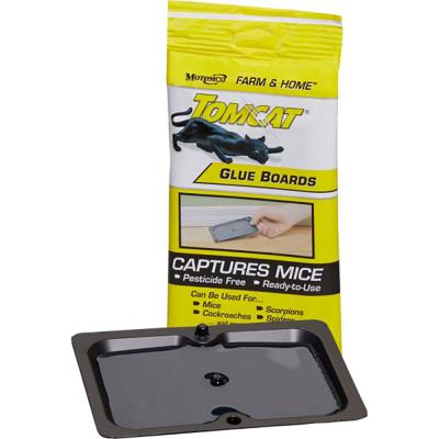 Tomcat Heavy Duty Mouse Traps 2 Pack